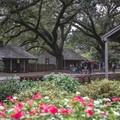 Create Listing: Louisiana Plantation Tour - 4hrs