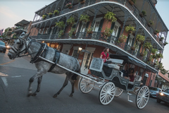 Create Listing: New Orleans City Walking Tour - 2hrs