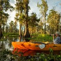 Create Listing: Daily Swamp Photo Tours - 5hrs