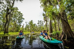 Create Listing: Manchac Magic Kayak Tour - 2hrs