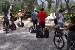 Create Listing: Bonaventure Cemetery Segway Tour - 1.5hrs