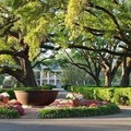 Create Listing: Oak Alley Antebellum Plantation - 5.5hrs