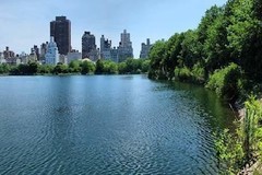 Create Listing: 3 Hrs Central Park Pedicab Tour - The Whole Park