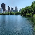 Create Listing: 3 Hrs Central Park Pedicab Tour - The Whole Park