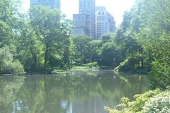 Create Listing: Hells Kitchen Food Tour + Central Park Tour - 4hrs