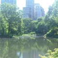 Create Listing: Hells Kitchen Food Tour + Central Park Tour - 4hrs