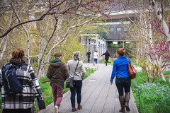 Create Listing: Highline & Chelsea Market Tour- 2hrs