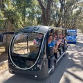 Create Listing: St. Augustine Shared Golf Cart Tour -1hr