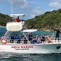 Create Listing: Private Half Day Dive Trip - 4hrs