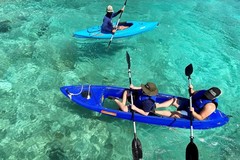 Create Listing: Dolphin Kayak Experience - 40 mins