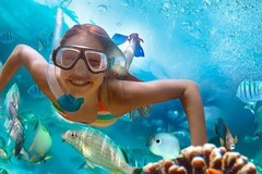 Create Listing: Snorkel St John Tour from Sapphire & Margaritaville- 6hrs