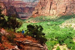 Create Listing: Zion National Park Tour From Las Vegas - Public - 11.5hrs