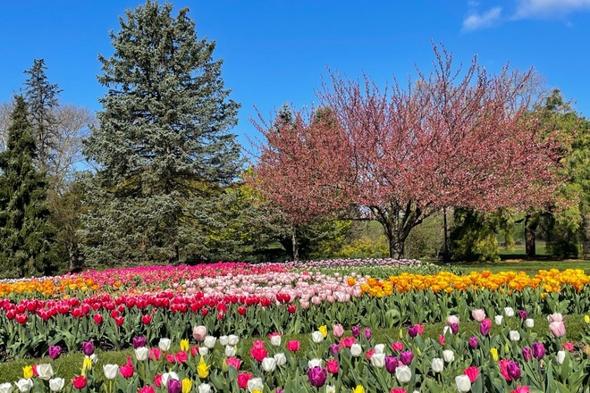 Hershey Gardens Admissions