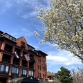 Create Listing: Boulder Highlights Private Walking Tour