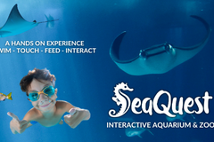 Create Listing: Seaquest- Admissions