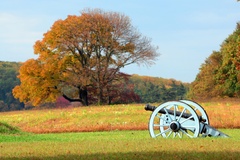 Create Listing: Valley Forge: American Revolution Tour