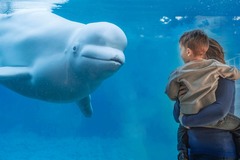 Create Listing: Mystic Aquarium