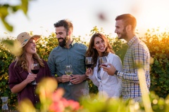 Create Listing: Napa and Sonoma Valley Wine Country Discovery Tour 1 day fro