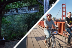 Create Listing: Bike The Bridge & Muir Woods Tour