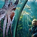 Create Listing: Aquarium of the Bay