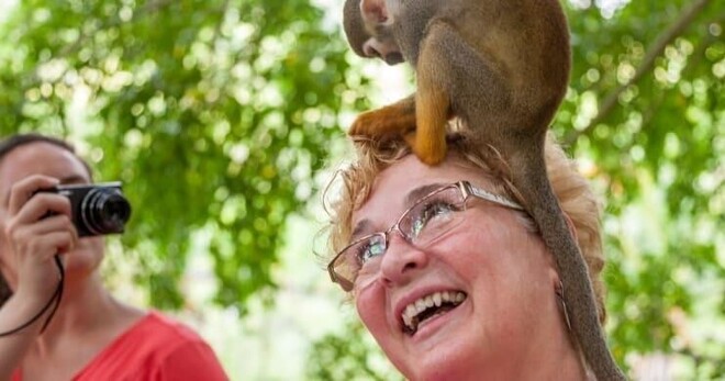Monkeyland and Plantation tour: 5 hrs with Transportation