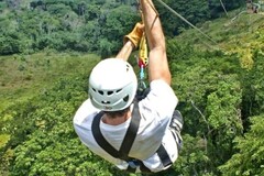 Create Listing: Ziplines with Monkeyland Puerto Plata