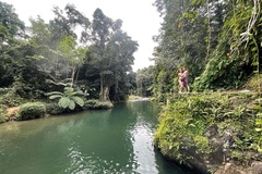 Create Listing: Half-Day Rainforest tour