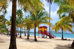 Create Listing: El Yunque & Luquillo Beach