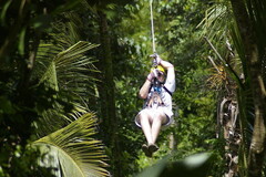 Create Listing: TreeTop Canopy Adventure