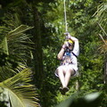 Create Listing: TreeTop Canopy Adventure