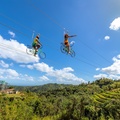 Create Listing: Zipline + Toro Bike Transportation Combo (2)