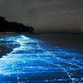 Create Listing: Fajardo Bioluminescent Bay Guided Night Kayaking Tour