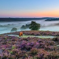 Create Listing: Durdle Door, Corfe Castle, New Forest