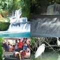 Create Listing: Pelican Bar, Black River Safari & YS Falls