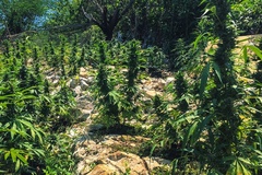 Create Listing: ATV & Weed Farm Tour - Montego Bay