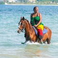 Create Listing: Package Deal #4 | Horseback Riding, Sea Tubing, and more