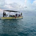 Create Listing: Glass Bottom Boat Tour | Lover’s Cave Tour & Dolphins Visit