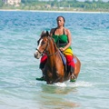 Create Listing: Horseback Riding Trail & Sea