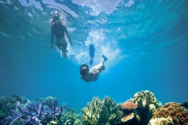 Sailing & Snorkeling – Half Day