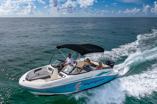 Bayliner -  up to 6 passengers