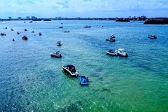 Create Listing: Haulover Sandbar Boat Tour