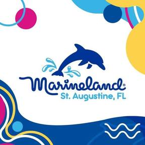 MARINELAND DOLPHIN ADVENTURES